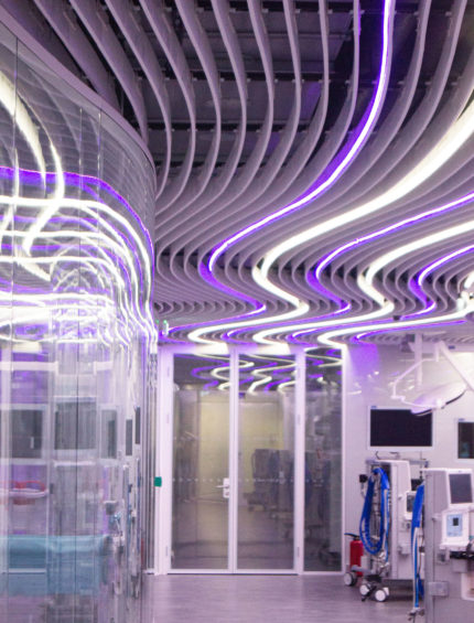 plafond suspendu exceptionnel avec formes vagues